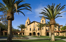 Palm trees in front of a building.