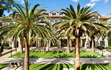 Palm trees in front of a building.