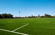 A soccer field with white lines.